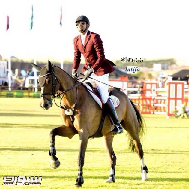 خيل قطر