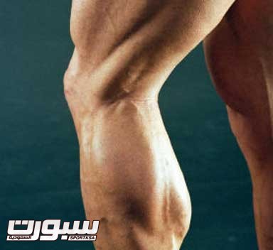 body-building-leg
